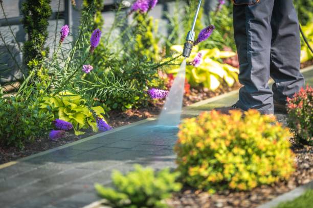 Professional  Pressure Washing Services in Sansom Park, TX
